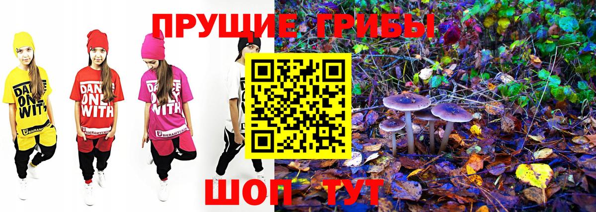 Галлюциногенные грибы GOLDEN TEACHER Каспийск