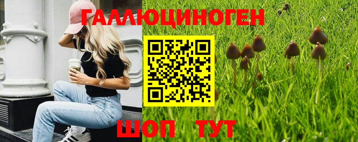 Каспийск  Псилоцибиновые грибы мухоморы  Вход с VPN 